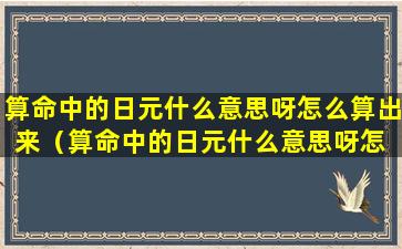 算命中的日元什么意思呀怎么算出来（算命中的日元什么意思呀怎 🐛 么算出来呢）